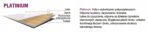 Drzwi wewnętrzne RUMBA Kolory " TANIE REMONTOWANIE Voster "