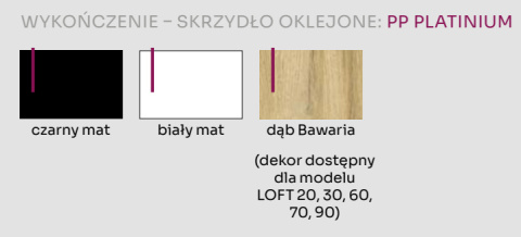 Drzwi Loftowe Bezprzylgowe LOFT 10 z Ościeżnicą Stałą